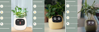 LCD Display Smart Planter