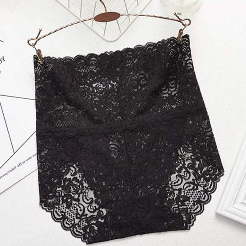 Lace Mesh Embroidery Briefs