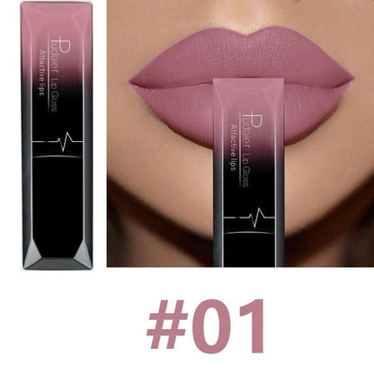 Matte Long Lasting Waterproof Lip Gloss