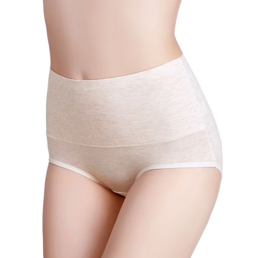 Cotton High Waisted Briefs