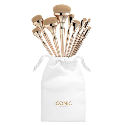 Gold Handle 9 Makeup Brush Set