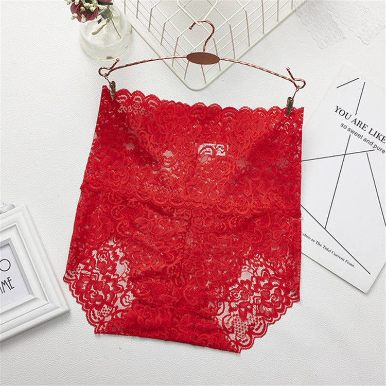 Lace Embroidery Briefs