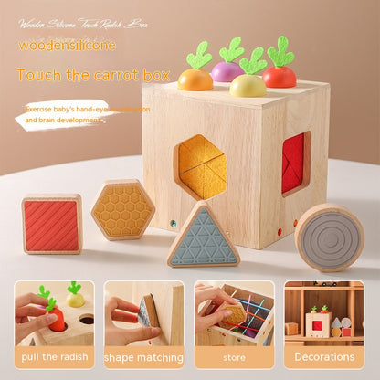 Wooden Geometric Cast Shape Early Childhood Education For Baby Educational Toys