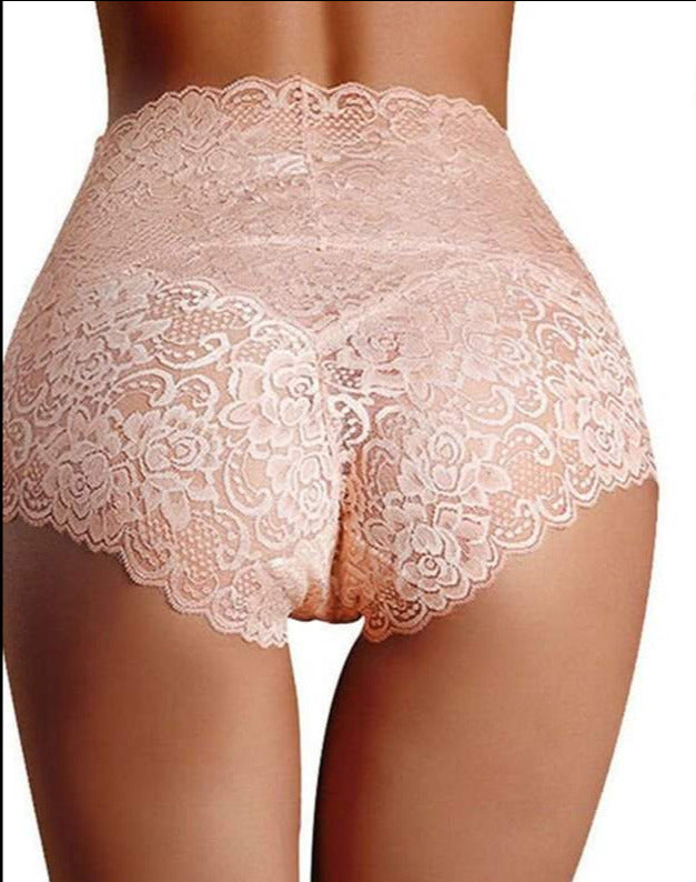 Lace Mesh Embroidery Briefs