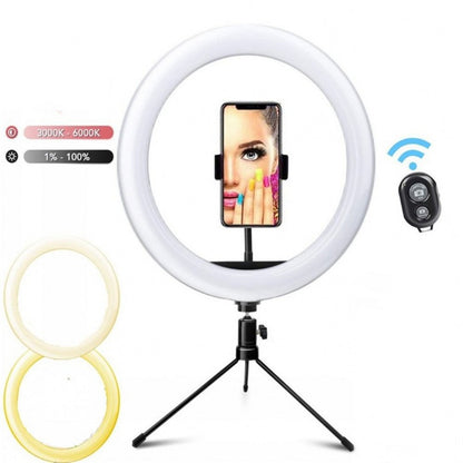 Ring fill light 10 inch Selfie whitening light