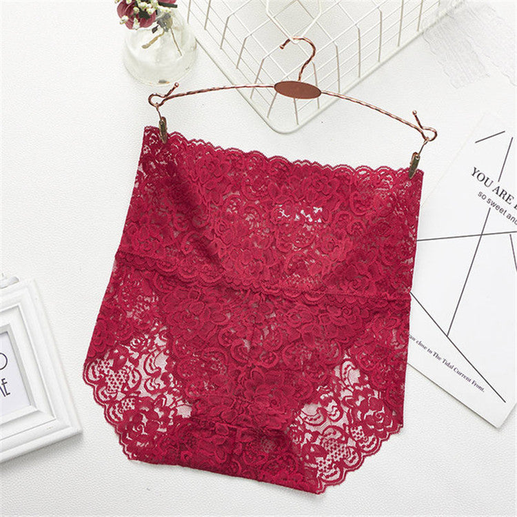 Lace Embroidery Briefs