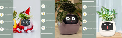 LCD Display Smart Planter