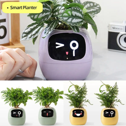 LCD Display Smart Planter