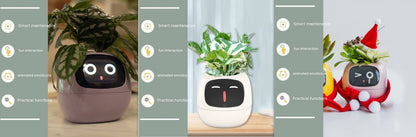 LCD Display Smart Planter