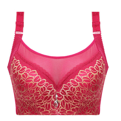 Full Cup Flora Print Mesh Edge Bra